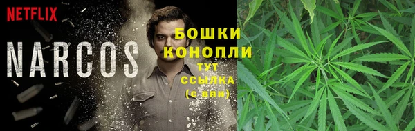 Альфа ПВП Нефтекумск
