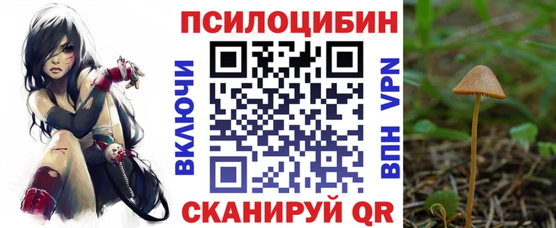 Псилоцибиновые грибы MAGIC MUSHROOMS  Чекалин 